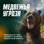 Режим повышенной готовности из-за медведей вводят на всей территории Иркутской области