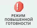 В Иркутской области введён режим повышенной готовности из-за участившихся выходов медведей