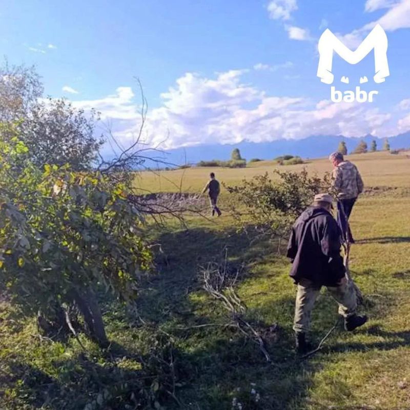 Медведей будут отстреливать в Тункинском районе Бурятии