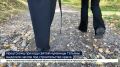 Из многоквартирного дома в полноценный храм