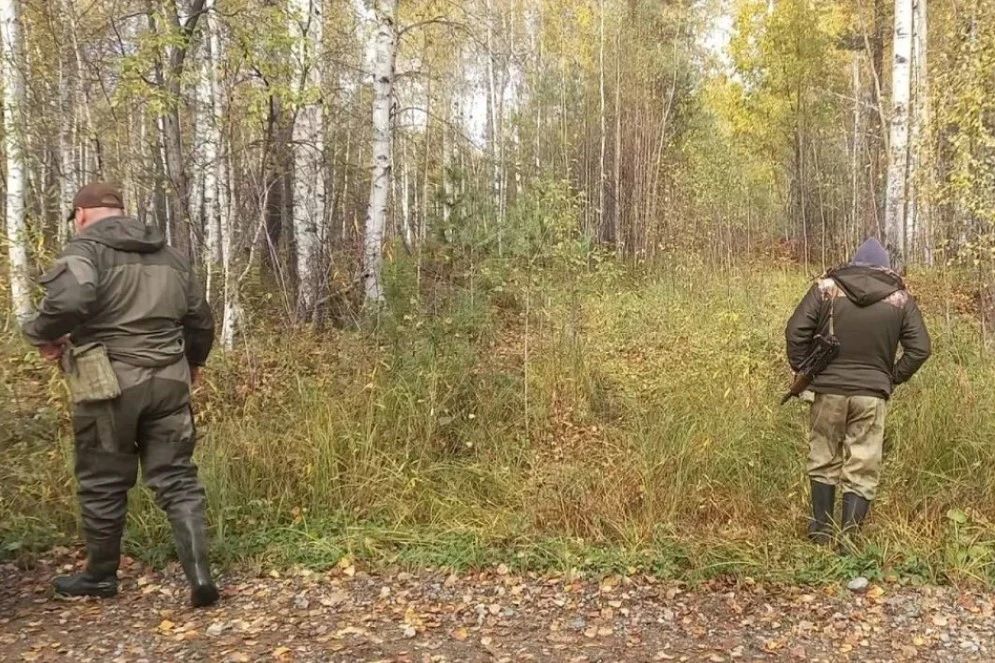"Пила воду из болота и стоя ночевала под деревом в дождь": женщина четыре дня одна выживала в тайге в Иркутской области "Пила воду из болота и стоя ночевала под деревом в дождь": женщина четыре дня одна выживала в тайге в Иркутской области