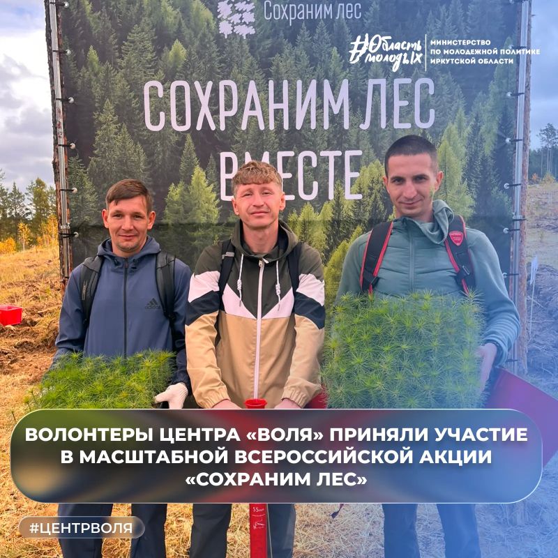 Волонтеры центра «Воля» приняли участие в масштабной Всероссийской акции «Сохраним лес»