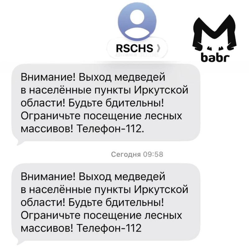 14 медведей отстрелили за сутки в Приангарье