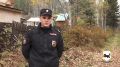 В Приангарье медведь зашёл на участок СНТ и утащил собаку
