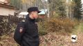 Полицейские спасли от нападения медведя жителей Иркутской области