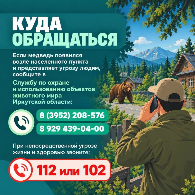Что делать при встрече с медведем? Что делать при встрече с медведем?