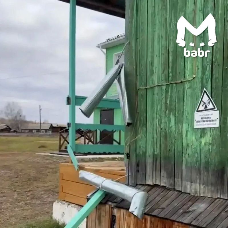 Медведь сорвал дверь в школьную столовую в селе Иркутской области Медведь сорвал дверь в школьную столовую в селе Иркутской области
