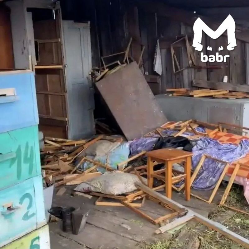 Медведь сорвал дверь в школьную столовую в селе Иркутской области Медведь сорвал дверь в школьную столовую в селе Иркутской области