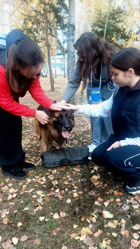 В Братске полицейские и общественники приняли участие в слёте регионального проекта «Патруль Первых» В Братске полицейские и общественники приняли участие в слёте регионального проекта «Патруль Первых»