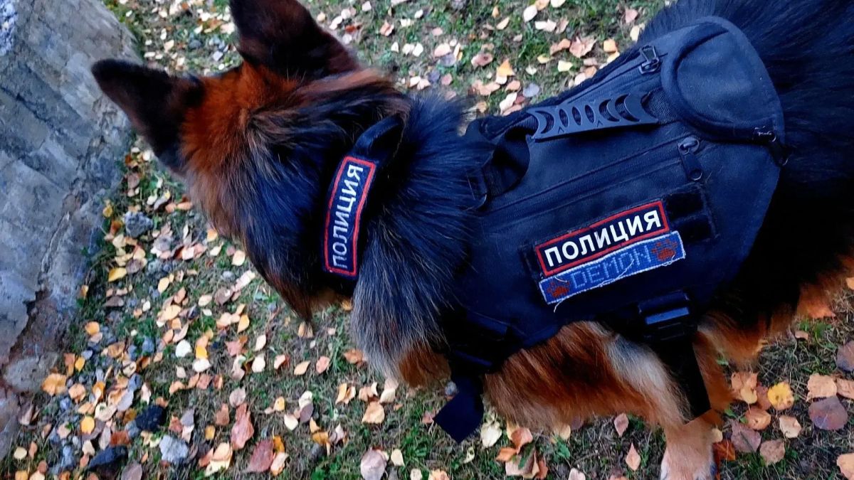 В Братске полицейские и общественники приняли участие в слёте регионального проекта «Патруль Первых» В Братске полицейские и общественники приняли участие в слёте регионального проекта «Патруль Первых»