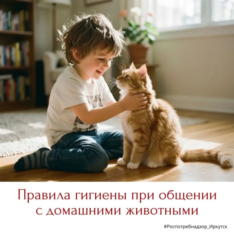 Животные — прекрасные компаньоны, дарящие радость и ласку, но при условии, что соблюдаются правила гигиены