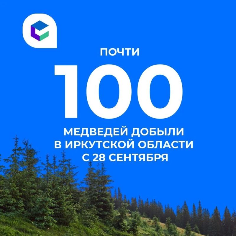 В Систему-112 в Приангарье с 28 сентября поступило 461 сообщение о появлении медведей