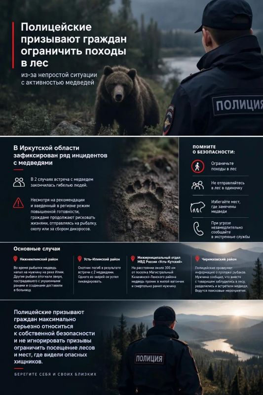 Полицейские призывают граждан ограничить походы в лес из-за непростой ситуации с активностью медведей
