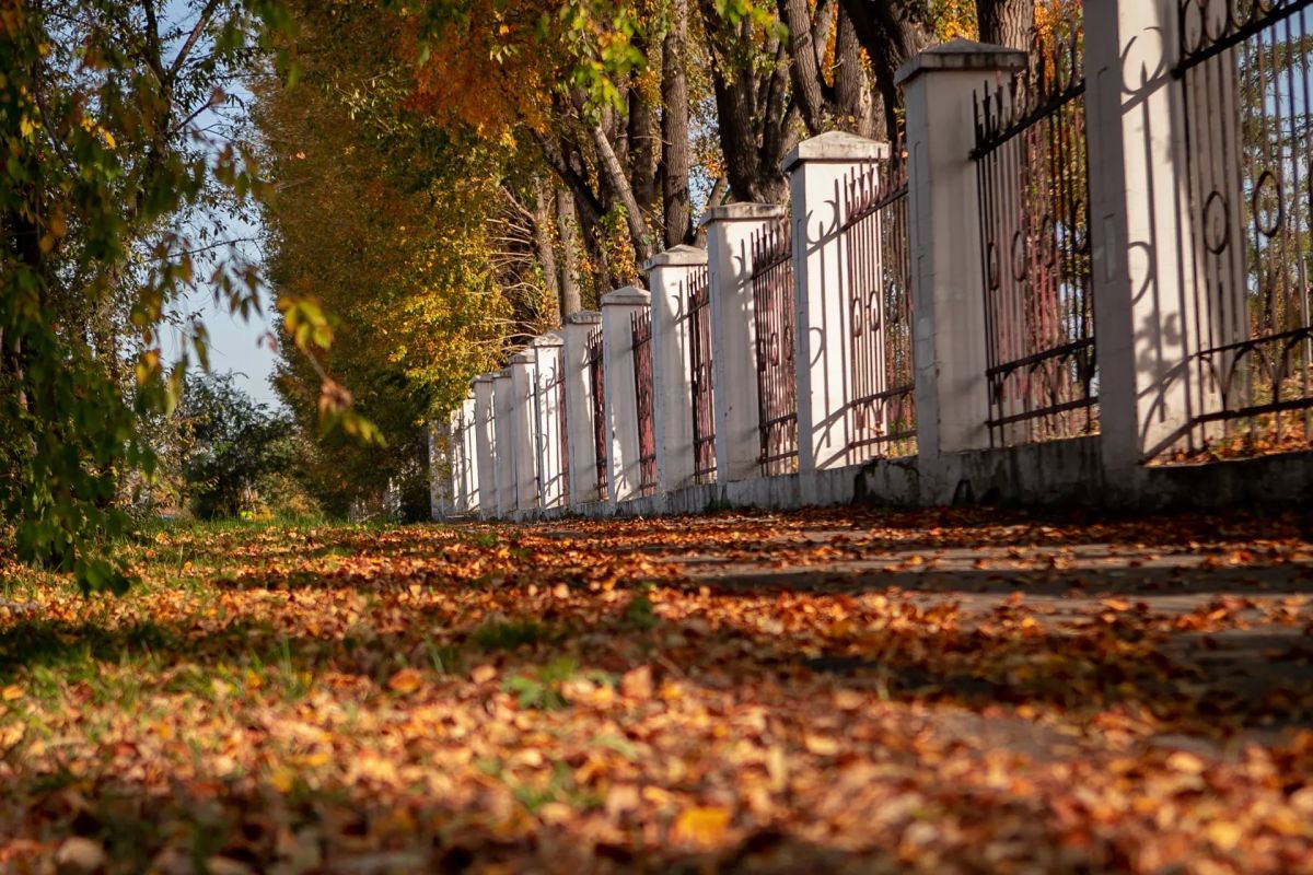 Доброе утро!. Друзья, погода и правда ухудшилась