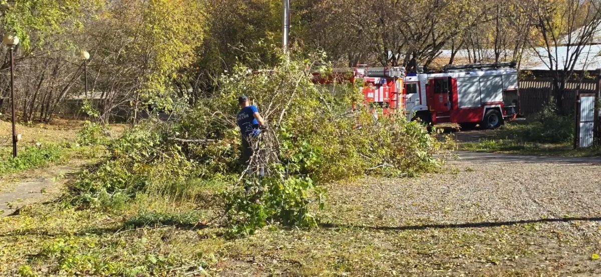 В иркутском Академгородке провели субботник В иркутском Академгородке провели субботник