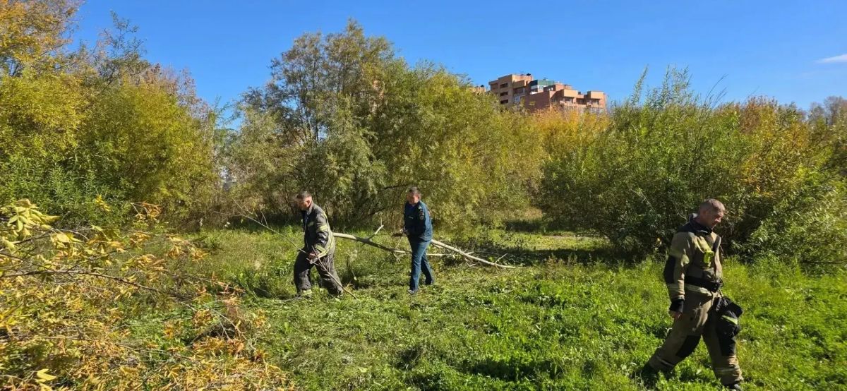 В иркутском Академгородке провели субботник В иркутском Академгородке провели субботник