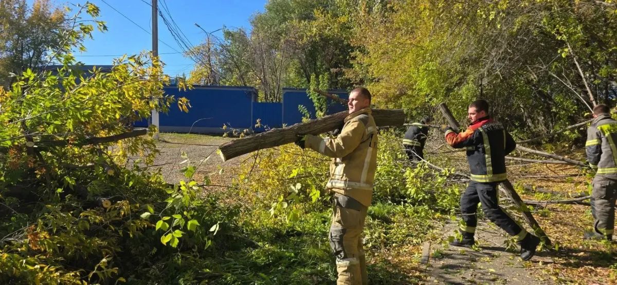 В иркутском Академгородке провели субботник