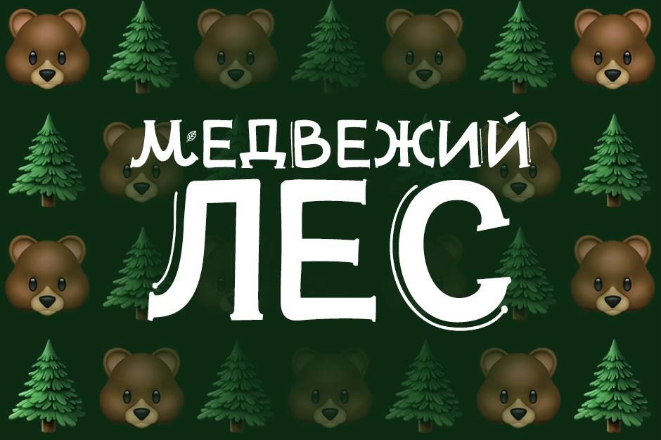 Иркутянин создал игру про встречу с медведем