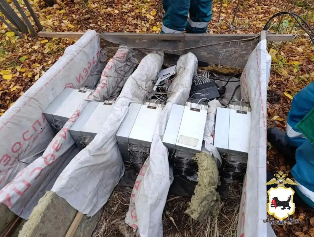 Иркутском районе проверяют факты незаконного подключения «асиков» в лесу Иркутском районе проверяют факты незаконного подключения «асиков» в лесу
