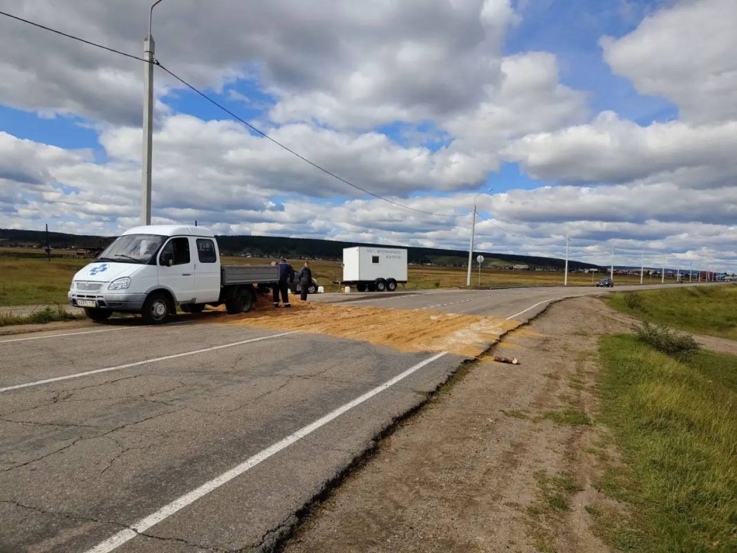В Иркутском округе ликвидированы все очаги заразного узелкового дерматита