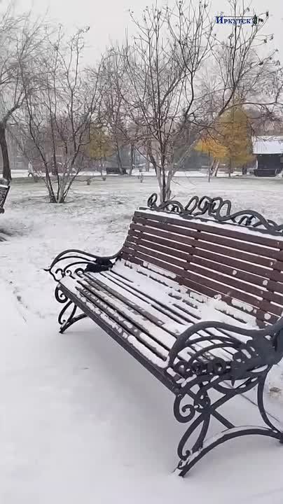 Город И заметает мелким снегом