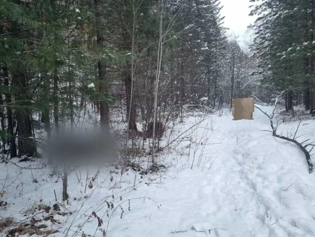 В Нижнеудинском районе следователи устанавливают обстоятельства причинения смерти по неосторожности