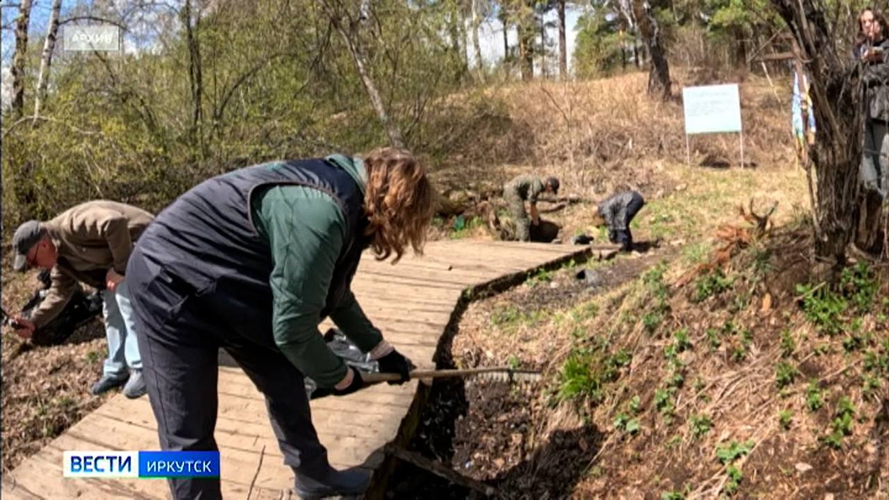 37 незаконных свалок ликвидировали в лесах Иркутской области благодаря субботникам